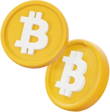 Vester Profit - Introducing the groundbreaking Vester Profit software